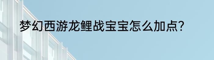 梦幻西游龙鲤战宝宝怎么加点？