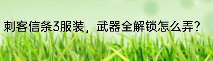 刺客信条3服装，武器全解锁怎么弄？