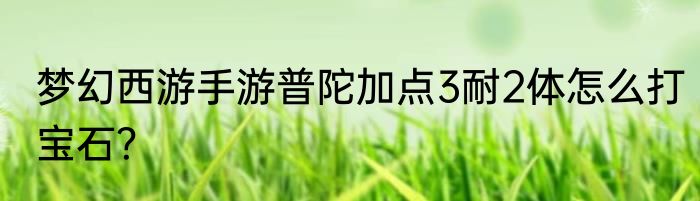 梦幻西游手游普陀加点3耐2体怎么打宝石？
