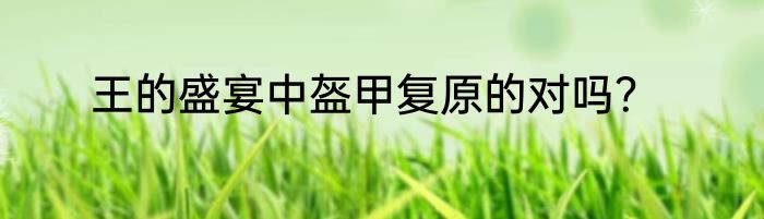 王的盛宴中盔甲复原的对吗？