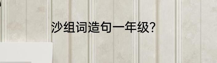 沙组词造句一年级？