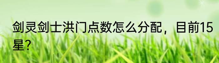 剑灵剑士洪门点数怎么分配，目前15星？