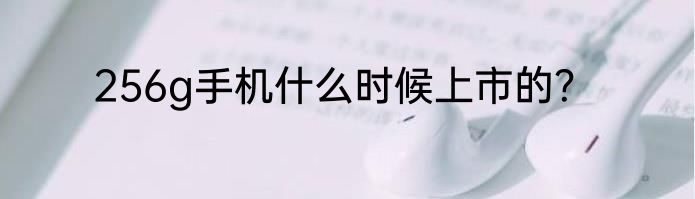 256g手机什么时候上市的？