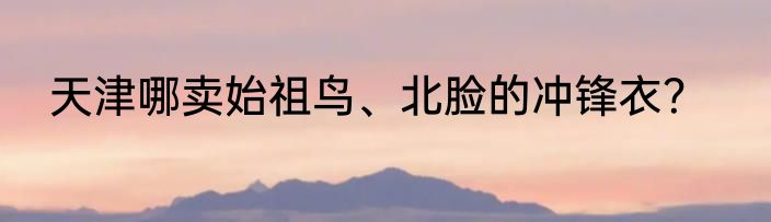 天津哪卖始祖鸟、北脸的冲锋衣？