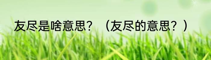友尽是啥意思？（友尽的意思？）