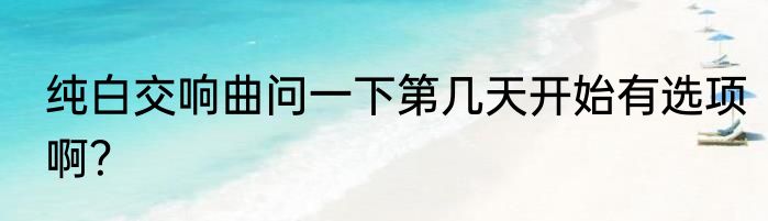 纯白交响曲问一下第几天开始有选项啊？
