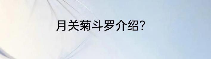 月关菊斗罗介绍？
