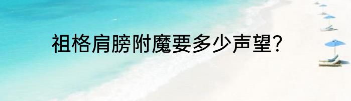 祖格肩膀附魔要多少声望？