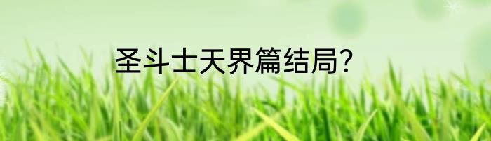 圣斗士天界篇结局？