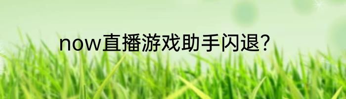now直播游戏助手闪退？