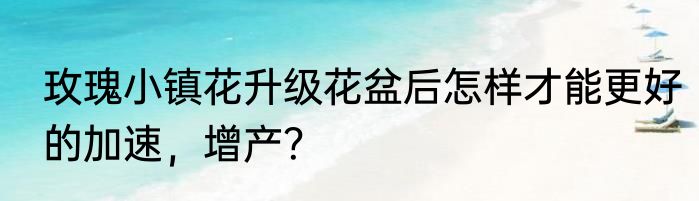 玫瑰小镇花升级花盆后怎样才能更好的加速，增产？