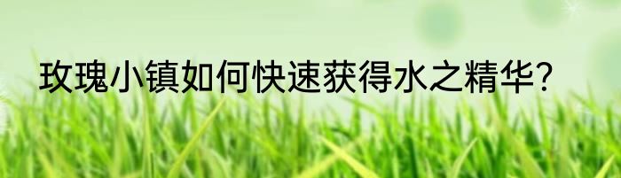 玫瑰小镇如何快速获得水之精华？