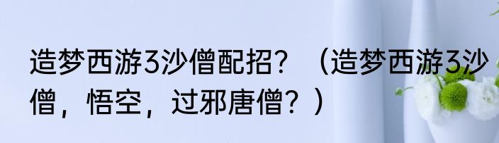 造梦西游3沙僧配招？（造梦西游3沙僧，悟空，过邪唐僧？）