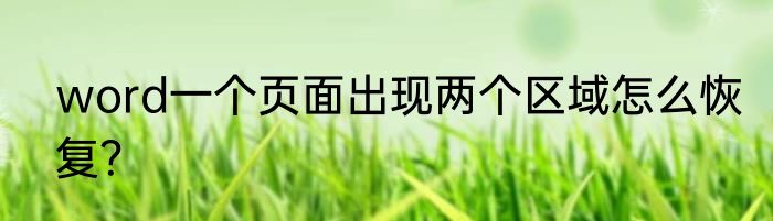 word一个页面出现两个区域怎么恢复？