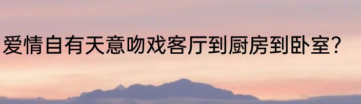 爱情自有天意吻戏客厅到厨房到卧室？