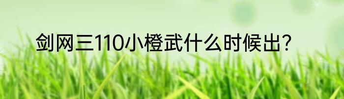 剑网三110小橙武什么时候出？
