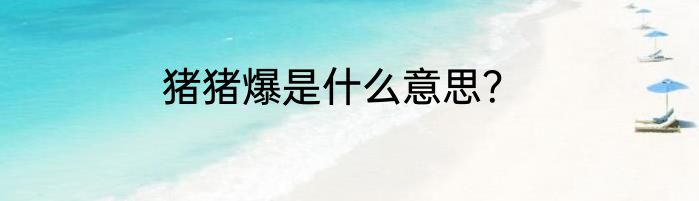 猪猪爆是什么意思？