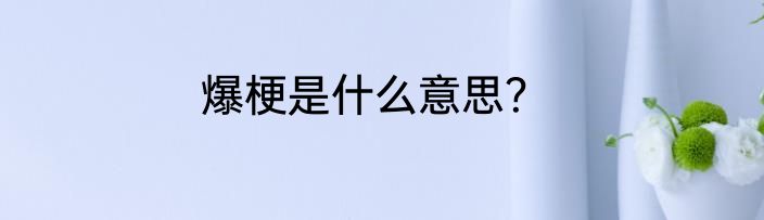 爆梗是什么意思？