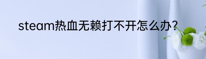 steam热血无赖打不开怎么办？