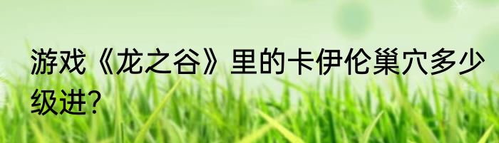 游戏《龙之谷》里的卡伊伦巢穴多少级进？