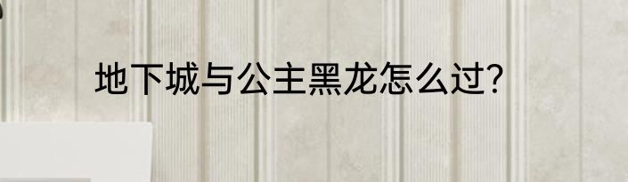 地下城与公主黑龙怎么过？