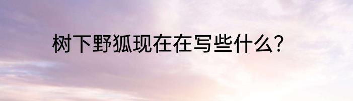 树下野狐现在在写些什么？