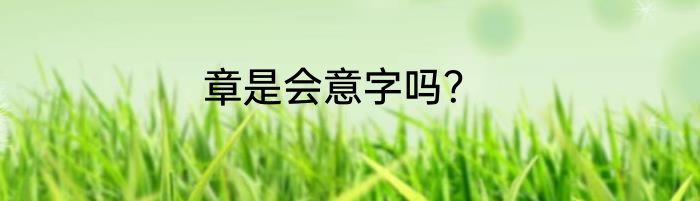 章是会意字吗？