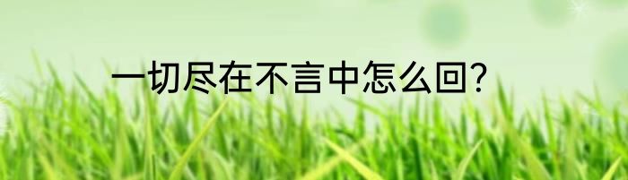 一切尽在不言中怎么回？