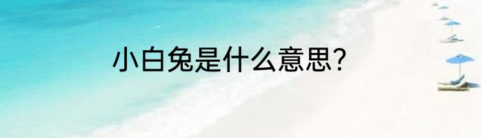 小白兔是什么意思？