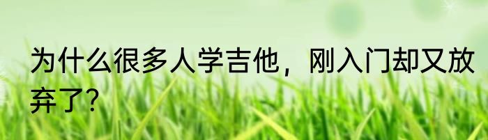 为什么很多人学吉他，刚入门却又放弃了？