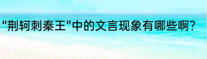 “荆轲刺秦王”中的文言现象有哪些啊？