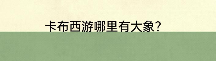 卡布西游哪里有大象？