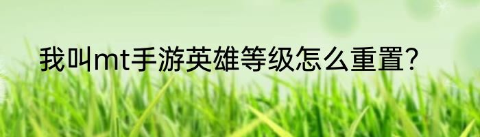 我叫mt手游英雄等级怎么重置？