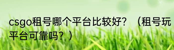 csgo租号哪个平台比较好？（租号玩平台可靠吗？）