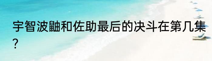 宇智波鼬和佐助最后的决斗在第几集？