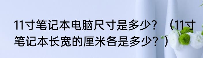11寸笔记本电脑尺寸是多少？（11寸笔记本长宽的厘米各是多少？）
