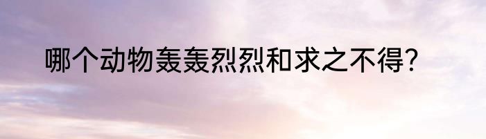哪个动物轰轰烈烈和求之不得？