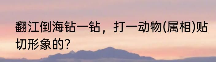 翻江倒海钻一钻，打一动物(属相)贴切形象的？