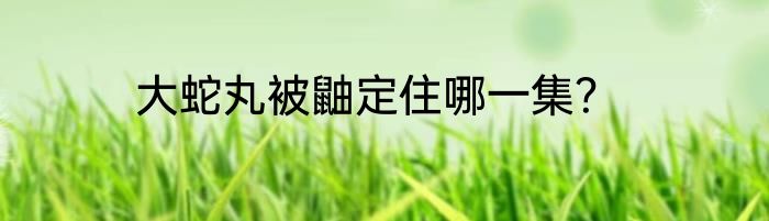大蛇丸被鼬定住哪一集？