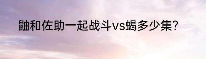 鼬和佐助一起战斗vs蝎多少集？