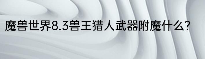 魔兽世界8.3兽王猎人武器附魔什么？