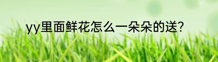 yy里面鲜花怎么一朵朵的送？