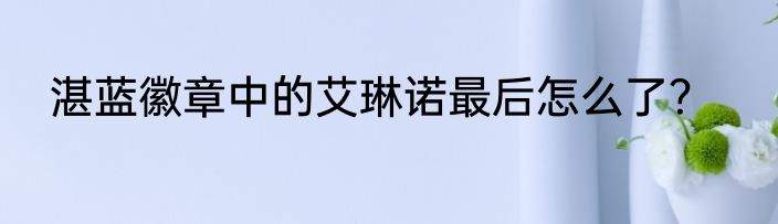 湛蓝徽章中的艾琳诺最后怎么了？