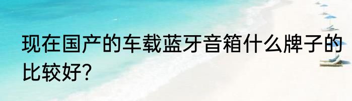 现在国产的车载蓝牙音箱什么牌子的比较好？