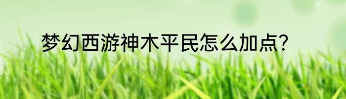 梦幻西游神木平民怎么加点？