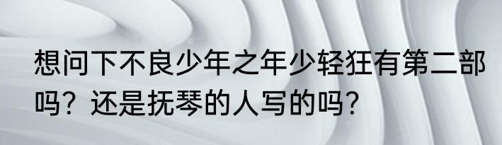 想问下不良少年之年少轻狂有第二部吗？还是抚琴的人写的吗？