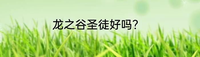 龙之谷圣徒好吗？