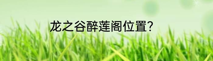 龙之谷醉莲阁位置？