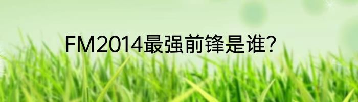 FM2014最强前锋是谁？