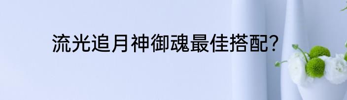 流光追月神御魂最佳搭配？